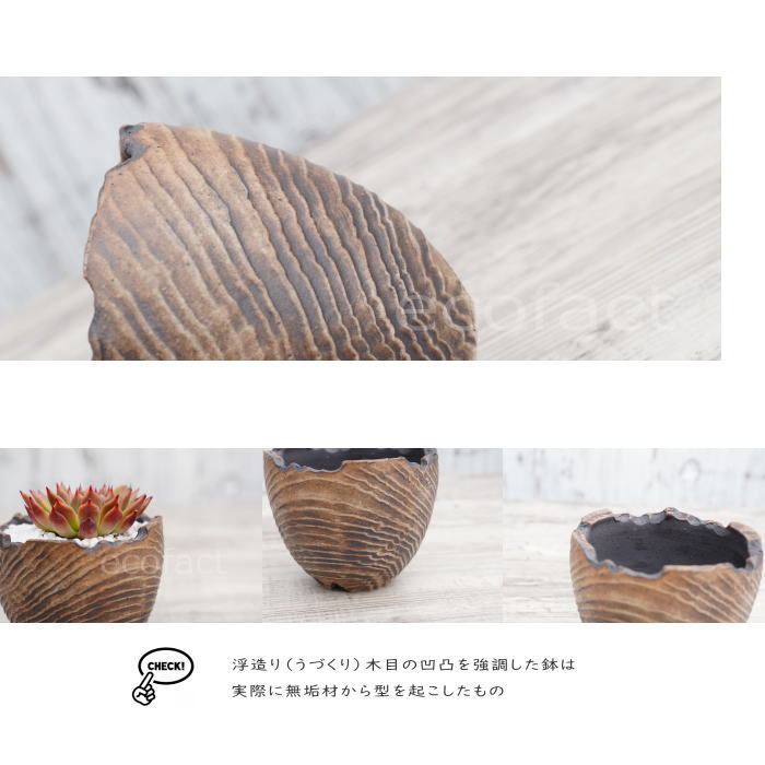 陶器鉢 植木鉢 ミニポット 底穴あり BUNGA POT セラウッド（小） φ9.5cm おしゃれ かわいい プランター 宝寿窯 有田焼 陶芸鉢 観葉植物 アガベ サボテン ビザールプランツ 塊根植物 コーデックス 多肉植物