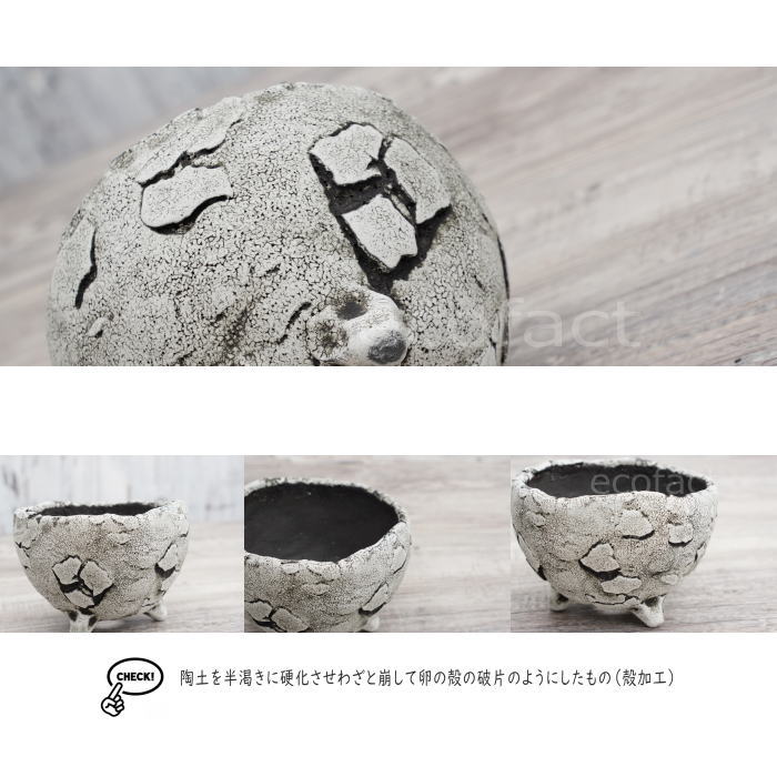 陶器鉢 植木鉢 ミニポット 底穴あり BUNGA POT エッグ（S） (ホワイト/グレイ） φ10.5cm おしゃれ かわいい プランター 宝寿窯 有田焼 陶芸鉢 観葉植物 アガベ サボテン ビザールプランツ 塊根植物 コーデックス 多肉植物
