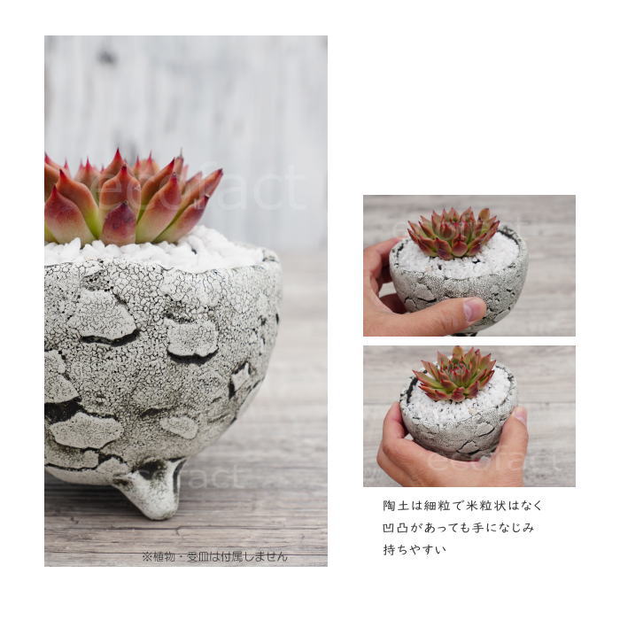 陶器鉢 植木鉢 ミニポット 底穴あり BUNGA POT エッグ（S） (ホワイト/グレイ） φ10.5cm おしゃれ かわいい プランター 宝寿窯 有田焼 陶芸鉢 観葉植物 アガベ サボテン ビザールプランツ 塊根植物 コーデックス 多肉植物