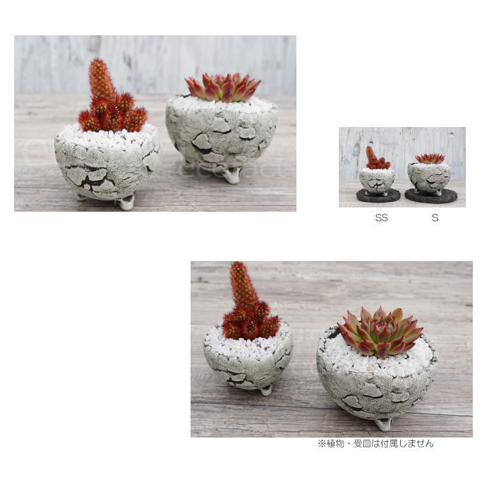 陶器鉢 植木鉢 ミニポット 底穴あり BUNGA POT エッグ（SS）白 ホワイト φ9cm おしゃれ かわいい プランター 宝寿窯 有田焼 陶芸鉢 観葉植物 アガベ サボテン ビザールプランツ 塊根植物 コーデックス 多肉植物