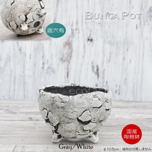 陶器鉢 植木鉢 ミニポット 底穴あり BUNGA POT エッグ（S） (ホワイト/グレイ） φ10.5cm おしゃれ かわいい プランター 宝寿窯 有田焼 陶芸鉢 観葉植物 アガベ サボテン ビザールプランツ 塊根植物 コーデックス 多肉植物