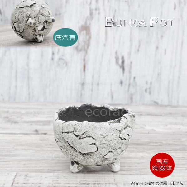 陶器鉢 植木鉢 ミニポット 底穴あり BUNGA POT エッグ（SS）白 ホワイト φ9cm おしゃれ かわいい プランター 宝寿窯 有田焼 陶芸鉢 観葉植物 アガベ サボテン ビザールプランツ 塊根植物 コーデックス 多肉植物