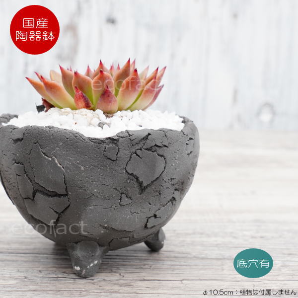 陶器鉢 植木鉢 ミニポット 底穴あり BUNGA POT エッグ（S）黒 ブラック φ10.5cm おしゃれ かわいい プランター 宝寿窯 有田焼 陶芸鉢 観葉植物 アガベ サボテン ビザールプランツ 塊根植物 コーデックス 多肉植物