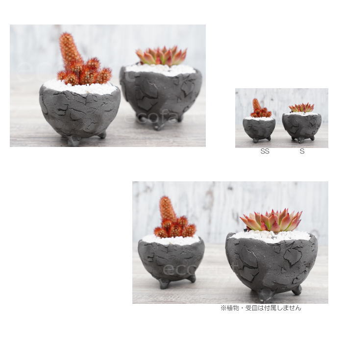 陶器鉢 植木鉢 ミニポット 底穴あり BUNGA POT エッグ（S）黒 ブラック φ10.5cm おしゃれ かわいい プランター 宝寿窯 有田焼 陶芸鉢 観葉植物 アガベ サボテン ビザールプランツ 塊根植物 コーデックス 多肉植物