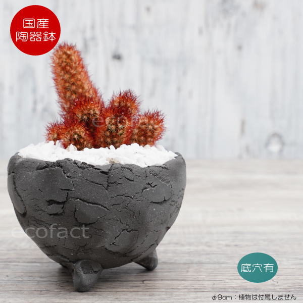 陶器鉢 植木鉢 ミニポット 底穴あり BUNGA POT エッグ（SS）黒 ブラック φ9cm おしゃれ かわいい プランター 宝寿窯 有田焼 陶芸鉢 観葉植物 アガベ サボテン ビザールプランツ 塊根植物 コーデックス 多肉植物