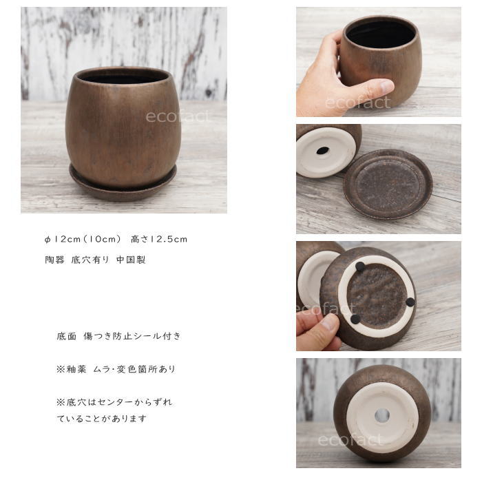 陶器鉢 植木鉢 ミニポット 皿付 ソルエッグ  ブロンズ φ12cm おしゃれ かわいい プランター 園芸鉢 観葉植物 アガベ サボテン ビザールプランツ 塊根植物 コーデックス 多肉植物