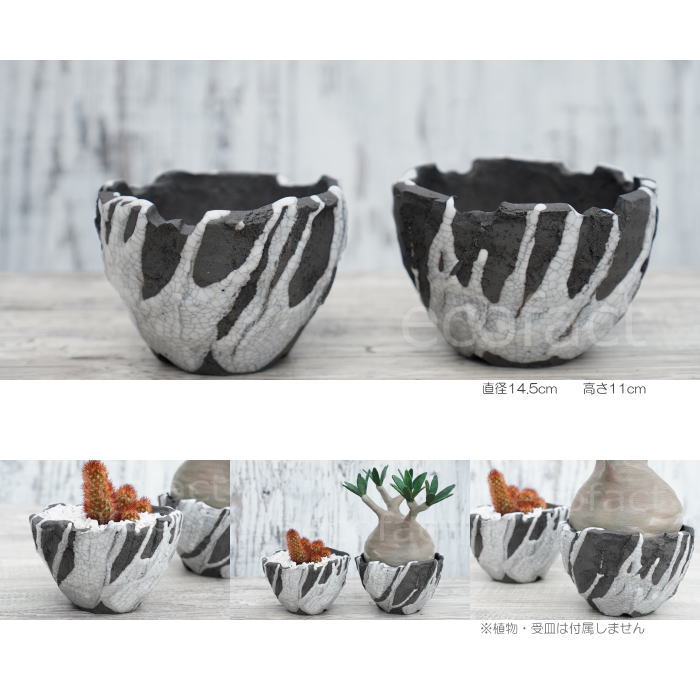 陶器鉢 植木鉢 ミニポット 底穴あり BUNGA POT キレット 貫入墨入れ  φ10cm おしゃれ かわいい プランター 宝寿窯 有田焼 陶芸鉢 観葉植物 アガベ サボテン ビザールプランツ 塊根植物 コーデックス 多肉植物
