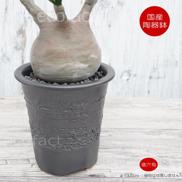 陶器鉢 植木鉢 縦長鉢 メタル（焼鉄色 ）φ13.5cm  おしゃれ プランター 園芸鉢 かみ山陶器 信楽焼 観葉植物 アガベ サボテン ビザールプランツ 塊根植物 コーデックス 多肉植物 ポット