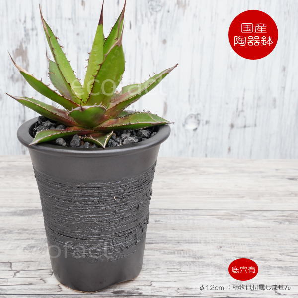 陶器鉢 植木鉢 縦長鉢 メタル（焼鉄色 ）φ12cm  おしゃれ プランター 園芸鉢 かみ山陶器 信楽焼 観葉植物 アガベ サボテン ビザールプランツ 塊根植物 コーデックス 多肉植物 ポット