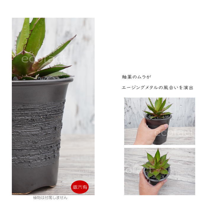 陶器鉢 植木鉢 縦長鉢 メタル（焼鉄色 ）φ12cm  おしゃれ プランター 園芸鉢 かみ山陶器 信楽焼 観葉植物 アガベ サボテン ビザールプランツ 塊根植物 コーデックス 多肉植物 ポット