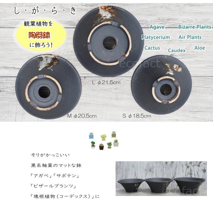 陶器鉢 植木鉢 底穴あり 艶消黒そりL ブラック おしゃれ プランター 園芸鉢 信楽焼 かみ山陶器  観葉植物 アガベ サボテン ビザールプランツ 塊根植物 コーデックス 多肉植物 ポット