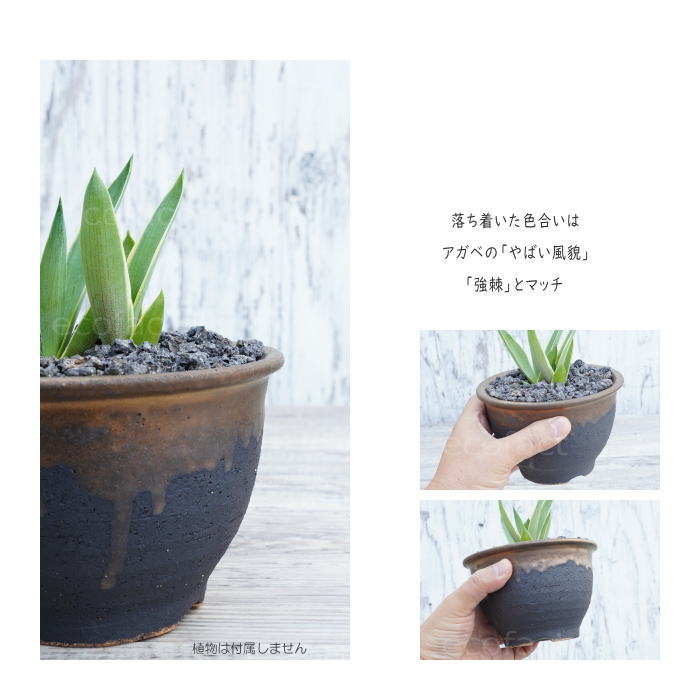 陶器鉢 植木鉢 4号フチ  底穴あり 金彩 ブラック おしゃれ プランター 園芸鉢 信楽焼 かみ山陶器  観葉植物 アガベ サボテン ビザールプランツ 塊根植物 コーデックス 多肉植物 ポット