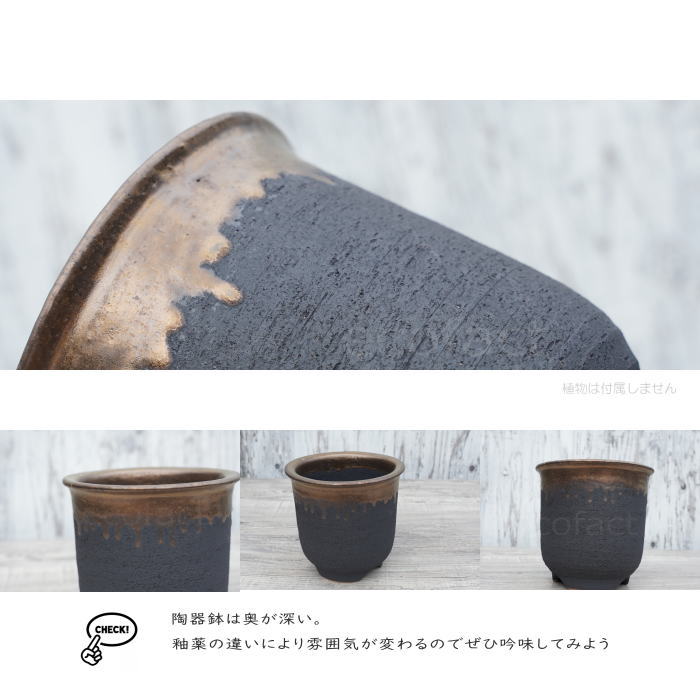 陶器鉢 植木鉢 5号  底穴あり 金彩 高鉢 H14cm ブラック おしゃれ プランター 園芸鉢 信楽焼 かみ山陶器  観葉植物 アガベ サボテン ビザールプランツ 塊根植物 コーデックス 多肉植物 ポット