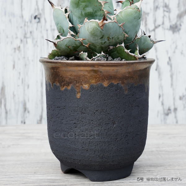 陶器鉢 植木鉢 5号  底穴あり 金彩 高鉢 H14cm ブラック おしゃれ プランター 園芸鉢 信楽焼 かみ山陶器  観葉植物 アガベ サボテン ビザールプランツ 塊根植物 コーデックス 多肉植物 ポット