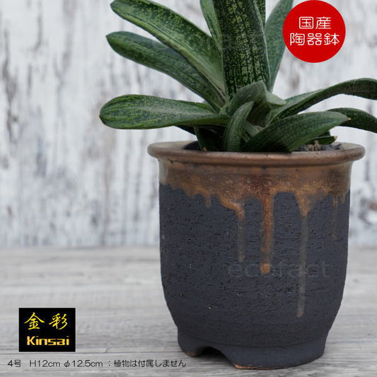 陶器鉢 植木鉢 4号  底穴あり 金彩 高鉢 H12cm ブラック おしゃれ プランター 園芸鉢 信楽焼 かみ山陶器  観葉植物 アガベ サボテン ビザールプランツ 塊根植物 コーデックス 多肉植物 ポット