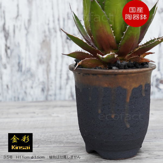 陶器鉢 植木鉢 3.5号  底穴あり 金彩 高鉢 H11cm ブラック ゴールド おしゃれ プランター 園芸鉢 信楽焼 かみ山陶器  観葉植物 アガベ サボテン ビザールプランツ 塊根植物 コーデックス 多肉植物 ポット