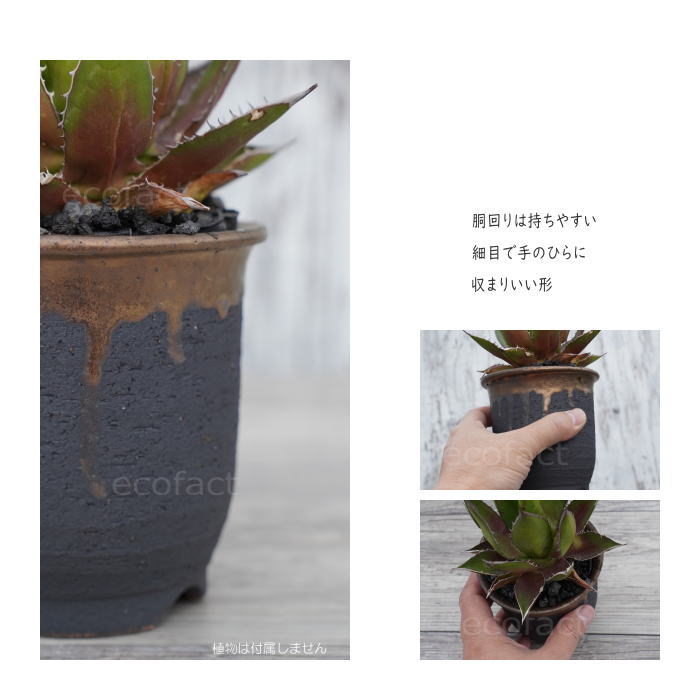 陶器鉢 植木鉢 3.5号  底穴あり 金彩 高鉢 H11cm ブラック ゴールド おしゃれ プランター 園芸鉢 信楽焼 かみ山陶器  観葉植物 アガベ サボテン ビザールプランツ 塊根植物 コーデックス 多肉植物 ポット