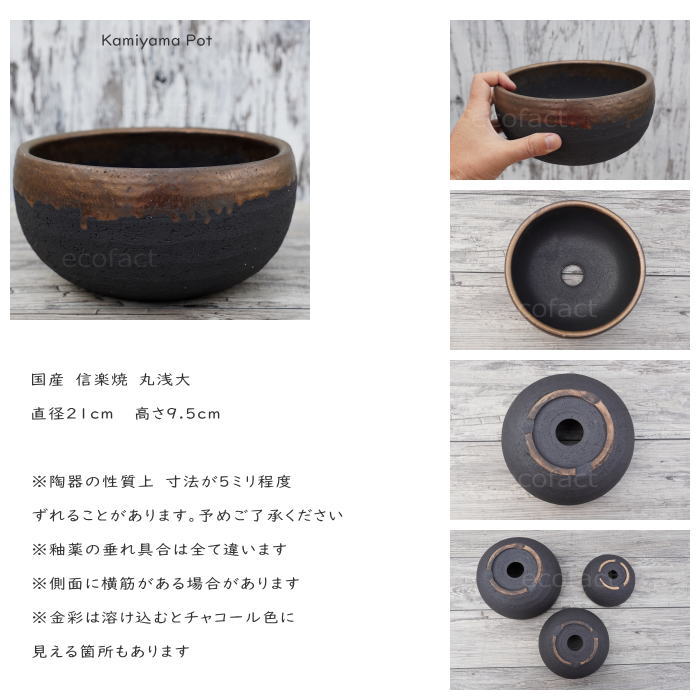 陶器鉢 植木鉢 丸浅（大）φ21cm  底穴あり 金彩 ブラック おしゃれ プランター 園芸鉢 信楽焼 かみ山陶器  観葉植物 アガベ サボテン ビザールプランツ 塊根植物 コーデックス 多肉植物 ポット