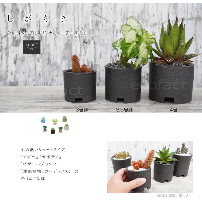 陶器鉢 植木鉢 4号ショートタイプ 筒型 黒 ブラック おしゃれ プランター 園芸鉢 かみ山陶器 信楽焼 観葉植物 アガベ サボテン ビザールプランツ 塊根植物 コーデックス 多肉植物 ポット