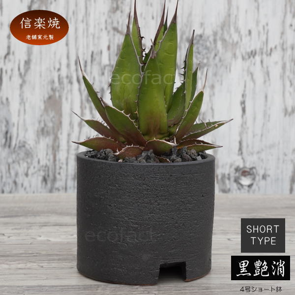 陶器鉢 植木鉢 4号ショートタイプ 筒型 黒 ブラック おしゃれ プランター 園芸鉢 かみ山陶器 信楽焼 観葉植物 アガベ サボテン ビザールプランツ 塊根植物 コーデックス 多肉植物 ポット