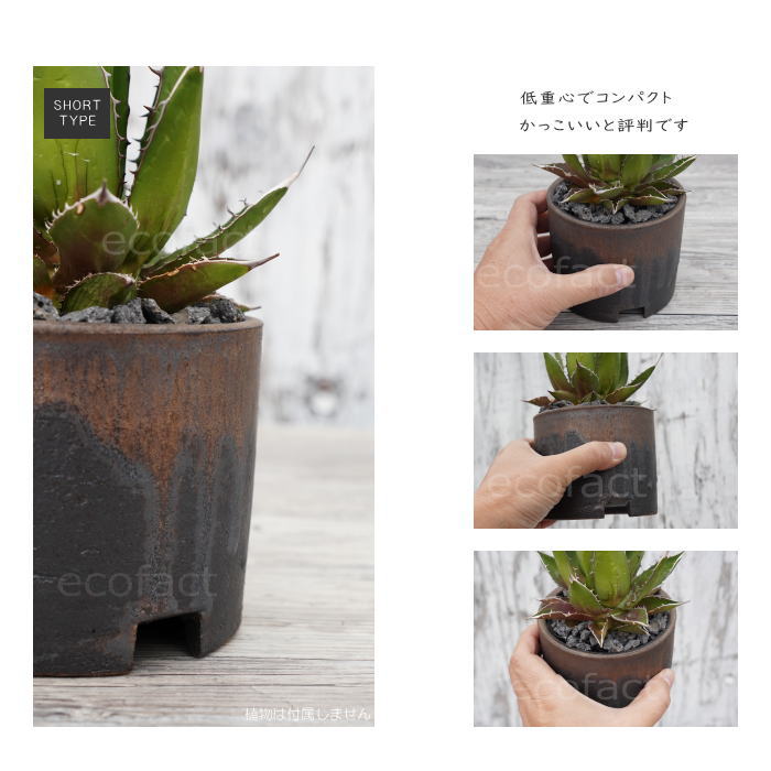 陶器鉢 植木鉢 4号ショートタイプ 筒型 金彩 ゴールド/ブラック おしゃれ プランター 園芸鉢 かみ山陶器 信楽焼 観葉植物 アガベ サボテン ビザールプランツ 塊根植物 コーデックス 多肉植物 ポット