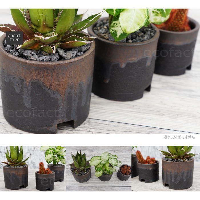 陶器鉢 植木鉢 4号ショートタイプ 筒型 金彩 ゴールド/ブラック おしゃれ プランター 園芸鉢 かみ山陶器 信楽焼 観葉植物 アガベ サボテン ビザールプランツ 塊根植物 コーデックス 多肉植物 ポット
