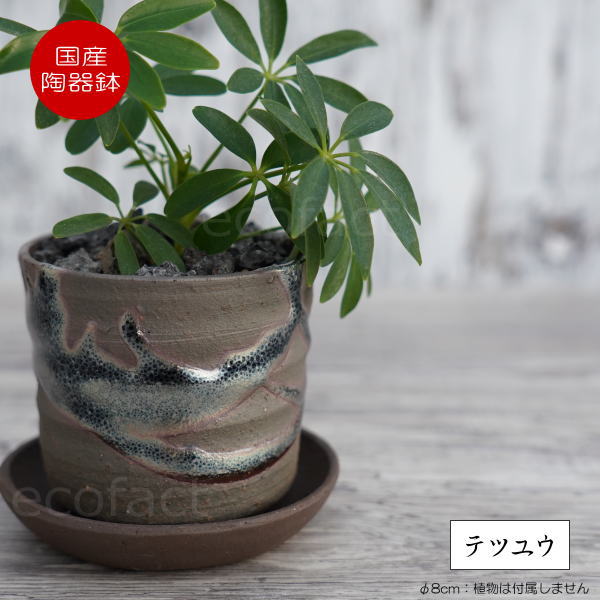 陶器鉢 植木鉢 小鉢 底穴あり 鉄釉縦型（ガンメタ）φ8cm  受皿付き おしゃれ プランター 園芸鉢 信楽焼（しがらきやき）かみ山陶器 コーデックス 塊根植物