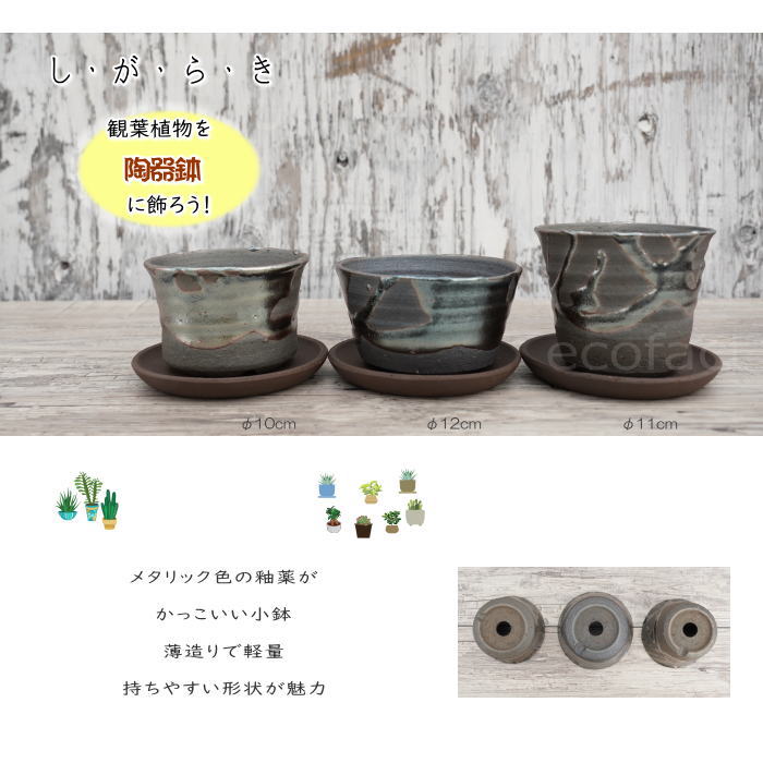 陶器鉢 植木鉢 小鉢 底穴あり 鉄釉浅（ガンメタ）φ12cm 受皿付き  おしゃれ プランター 園芸鉢 信楽焼（しがらきやき）かみ山陶器 コーデックス 塊根植物