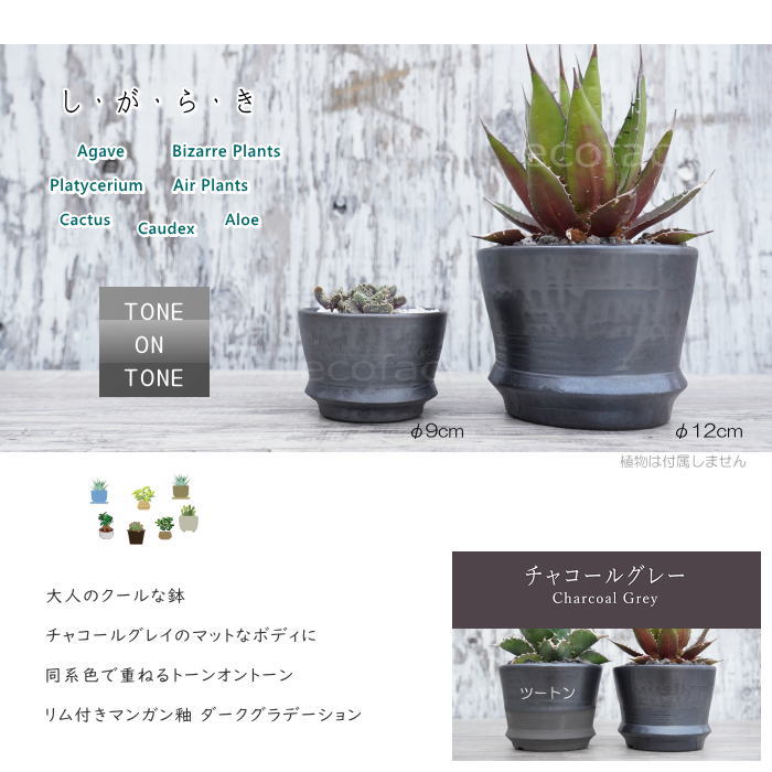 陶器鉢 植木鉢 φ9cm リム型グレイツートンS  底穴あり おしゃれ プランター 園芸鉢 信楽焼 かみ山陶器  観葉植物 アガベ サボテン ビザールプランツ 塊根植物 コーデックス 多肉植物 ポット