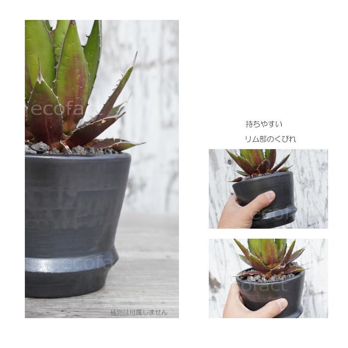 陶器鉢 植木鉢 φ12cm リム型グレイM  底穴あり おしゃれ プランター 園芸鉢 信楽焼 かみ山陶器  観葉植物 アガベ サボテン ビザールプランツ 塊根植物 コーデックス 多肉植物 ポット