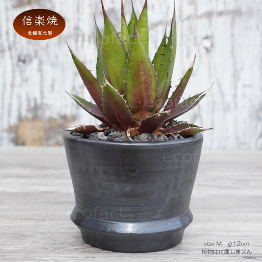 陶器鉢 植木鉢 φ12cm リム型グレイM  底穴あり おしゃれ プランター 園芸鉢 信楽焼 かみ山陶器  観葉植物 アガベ サボテン ビザールプランツ 塊根植物 コーデックス 多肉植物 ポット