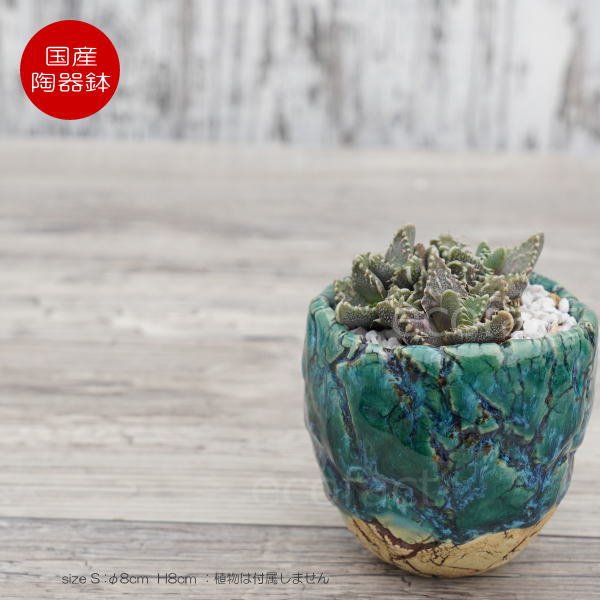 陶器鉢 植木鉢 ミニポット  底穴あり フォレスト（グリーン）白茶 S φ8cm 日本製 手作り おしゃれ かわいい プランター 園芸鉢 観葉植物 アガベ サボテン ビザールプランツ 塊根植物 コーデックス 多肉植物 ふるものぐりーん8889工房