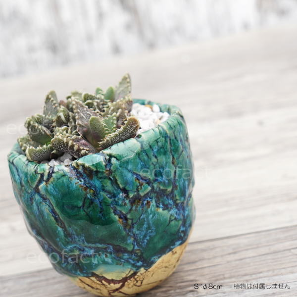 陶器鉢 植木鉢 ミニポット  底穴あり フォレスト（グリーン）白茶 S φ8cm 日本製 手作り おしゃれ かわいい プランター 園芸鉢 観葉植物 アガベ サボテン ビザールプランツ 塊根植物 コーデックス 多肉植物 ふるものぐりーん8889工房