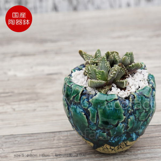 陶器鉢 植木鉢 ミニポット  底穴あり フォレスト（グリーン）白黒 S φ8cm 日本製 手作り おしゃれ かわいい プランター 園芸鉢 観葉植物 アガベ サボテン ビザールプランツ 塊根植物 コーデックス 多肉植物 ふるものぐりーん8889工房