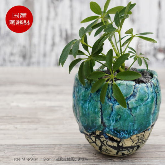 陶器鉢 植木鉢 ミニポット  底穴あり フォレスト（グリーン）白黒 M φ9cm（日本製 手作り おしゃれ かわいい プランター 園芸鉢 観葉植物 アガベ サボテン ビザールプランツ 塊根植物 コーデックス 多肉植物 ふるものぐりーん8889工房