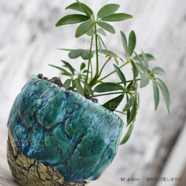 陶器鉢 植木鉢 ミニポット  底穴あり フォレスト（グリーン）白黒 M φ9cm（日本製 手作り おしゃれ かわいい プランター 園芸鉢 観葉植物 アガベ サボテン ビザールプランツ 塊根植物 コーデックス 多肉植物 ふるものぐりーん8889工房