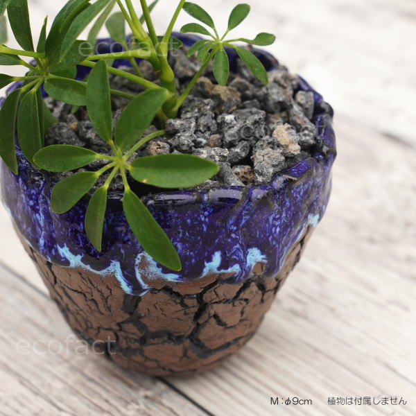 陶器鉢 植木鉢 ミニポット  底穴あり オーシャン（ブルー） 濃茶 M φ9cm 日本製 手作り おしゃれ かわいい プランター 園芸鉢 観葉植物 アガベ サボテン ビザールプランツ 塊根植物 コーデックス 多肉植物 ふるものぐりーん8889工房