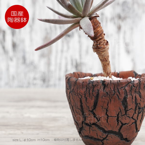 陶器鉢 植木鉢 ミニポット  底穴あり アース 茶 L φ10cm 日本製 手作り おしゃれ かわいい プランター 園芸鉢 観葉植物 アガベ サボテン ビザールプランツ 塊根植物 コーデックス 多肉植物 ふるものぐりーん8889工房