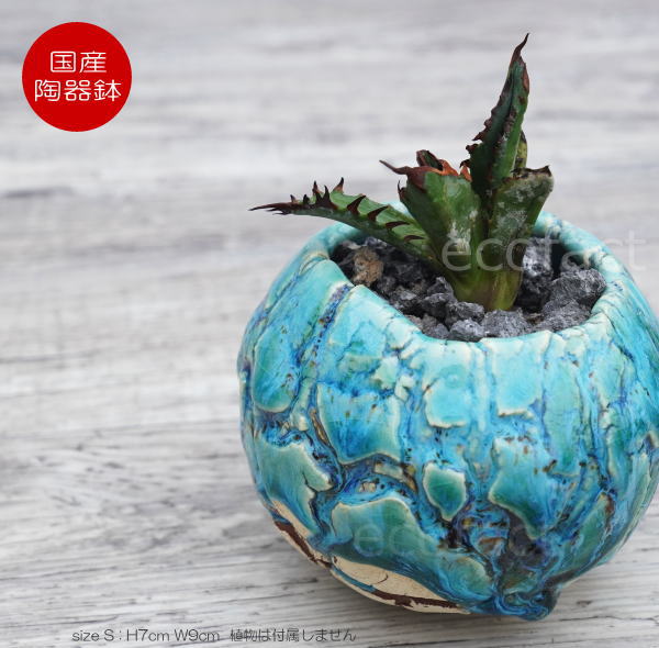 陶器鉢 植木鉢 ミニポット  底穴あり 丸型 フォレスト（グリーン）白茶 S H7cm 日本製 手作り おしゃれ かわいい プランター 園芸鉢 観葉植物 アガベ サボテン ビザールプランツ 塊根植物 コーデックス 多肉植物 ふるものぐりーん8889工房