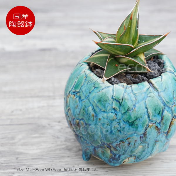 陶器鉢 植木鉢 ミニポット  底穴あり 丸型 フォレスト（グリーン）白茶 M H8cm 日本製 手作り おしゃれ かわいい プランター 園芸鉢 観葉植物 アガベ サボテン ビザールプランツ 塊根植物 コーデックス 多肉植物 ふるものぐりーん8889工房