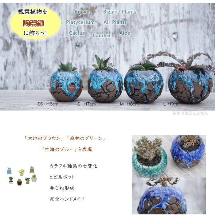 陶器鉢 植木鉢 ミニポット  底穴あり 丸型 スカイ（ライトブルー） S H7cm 日本製 手作り おしゃれ かわいい プランター 園芸鉢 観葉植物 アガベ サボテン ビザールプランツ 塊根植物 コーデックス 多肉植物 ふるものぐりーん8889工房
