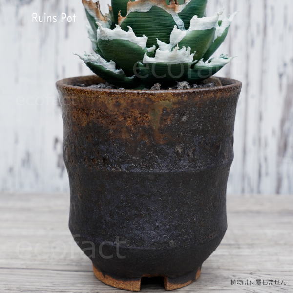 陶器鉢 植木鉢 小鉢 底穴あり 益子焼 Ruins Pot そり二段 φ9cm おしゃれ 園芸鉢 プランター アガベ コーデックス 塊根植物 NK CERAMICA(エヌケーセラミカ)