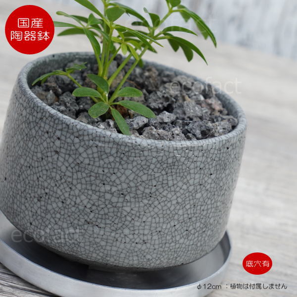 陶器鉢 植木鉢 美濃焼 MATCHA POT 4号  底穴あり ブラック グレイ おしゃれ プランター 園芸鉢 観葉植物 アガベ サボテン ビザールプランツ 塊根植物 コーデックス 多肉植物 ポット