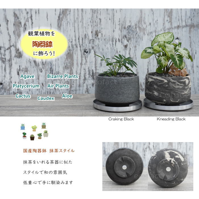陶器鉢 植木鉢 美濃焼 MATCHA POT 4号  底穴あり ブラック グレイ おしゃれ プランター 園芸鉢 観葉植物 アガベ サボテン ビザールプランツ 塊根植物 コーデックス 多肉植物 ポット