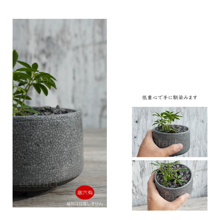 陶器鉢 植木鉢 美濃焼 MATCHA POT 4号  底穴あり ブラック グレイ おしゃれ プランター 園芸鉢 観葉植物 アガベ サボテン ビザールプランツ 塊根植物 コーデックス 多肉植物 ポット