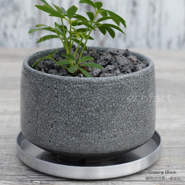 陶器鉢 植木鉢 美濃焼 MATCHA POT 4号  底穴あり ブラック グレイ おしゃれ プランター 園芸鉢 観葉植物 アガベ サボテン ビザールプランツ 塊根植物 コーデックス 多肉植物 ポット