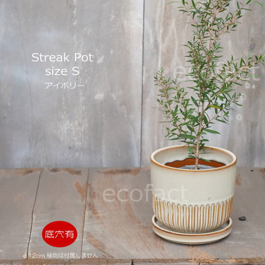 植木鉢 おしゃれ 陶器鉢 フラワーポット ミニポット 底穴あり Streak S アイボリー φ12cm   プランター 園芸鉢 観葉植物 オージープランツ