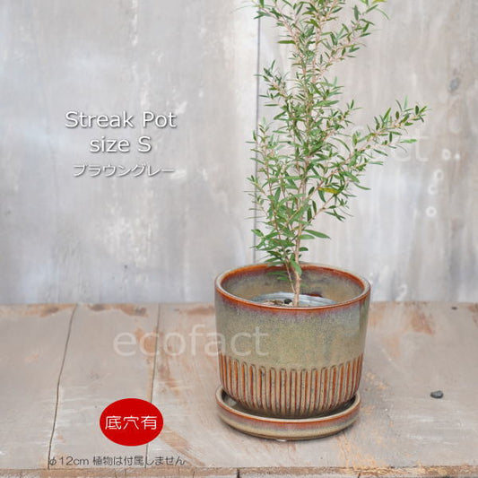 植木鉢 おしゃれ 陶器鉢 フラワーポット ミニポット 底穴あり Streak S ブラウングレイ φ12cm   プランター 園芸鉢 観葉植物 オージープランツ