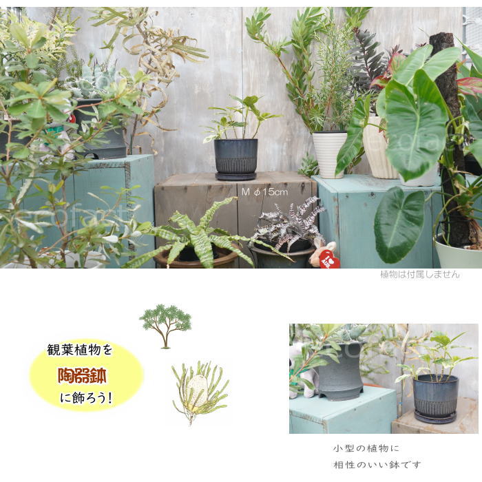 植木鉢 おしゃれ 陶器鉢 フラワーポット ミニポット 底穴あり Streak M グレイネイビー φ15cm   プランター 園芸鉢 観葉植物 オージープランツ
