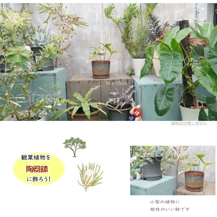 植木鉢 おしゃれ 陶器鉢 フラワーポット ミニポット 底穴あり Streak M ブラウングレイ φ15cm   プランター 園芸鉢 観葉植物 オージープランツ